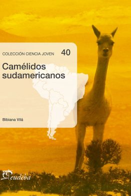 camelidos