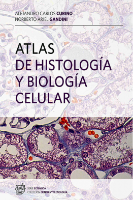 Atlas-histologia