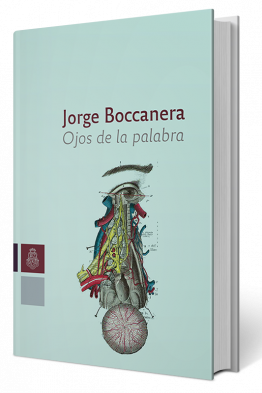 Jorge-Bocanera-Modulos-2018