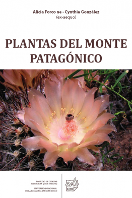 Plantas del monte patagonico 1