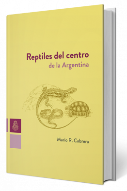 Reptiles-PNG