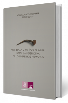 Seguridad-y-política-criminal