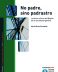 NO PADRE, SINO PADRASTRO <span class="subtitulo"> Lecturas críticas del Quijote en la narrativa argentina </span>