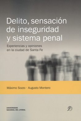 Delito, sensacion de inseguridad y sistema penal