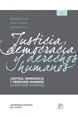 Justicia democracia y derechos humanos