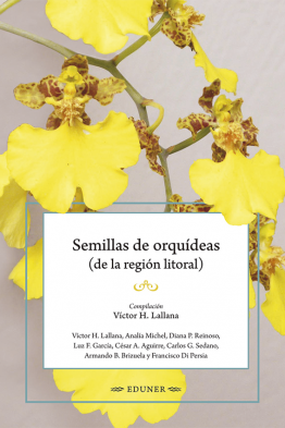 Semillas de orquídeas