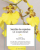 Semillas de orquídeas (de la región litoral)