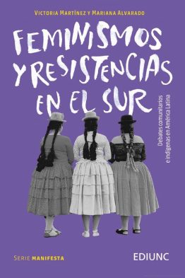 Feminismos y resistencias en el sur <span class="subtitulo">Debates comunitarios e indígenas en América Latina</span>