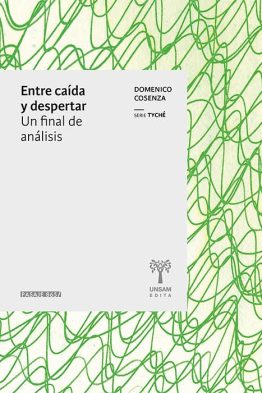 Entre caída y despertar <span class="subtitulo">Un final de análisis</span>