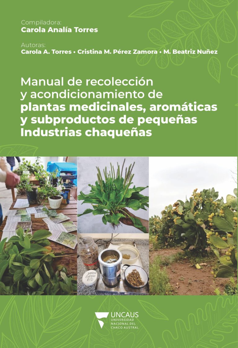Plantas-medicinales-768x1124 Plantas-medicinales-768x1124